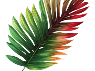 Rien de plus beau que se faire plaisir