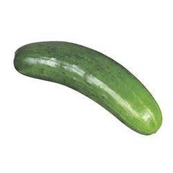 homme-dispo-pour-femme-desirant-baiser-big-0