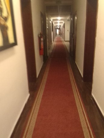 le-chouchou-des-nana-est-la-pour-satisfaire-vos-desirs-sexuels-big-1