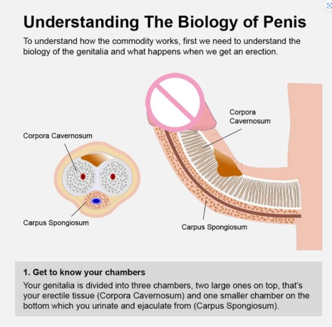 pompe-a-vide-electrique-pour-agrandissement-du-penis-jouet-sexuel-pour-homme-adulte-big-1